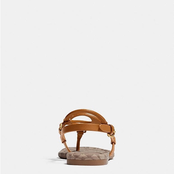Coach Jeri Leather Sandals - Picture 8 of 12